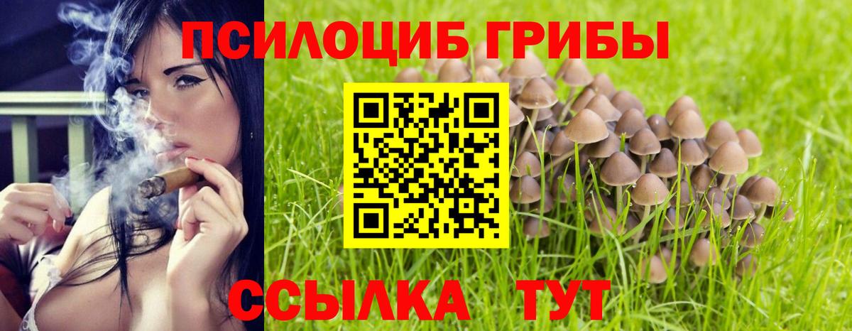 Псилоцибиновые грибы Magic Shrooms  Псилоцибиновые грибы MAGIC MUSHROOMS  Ульяновск  Вход с VPN 