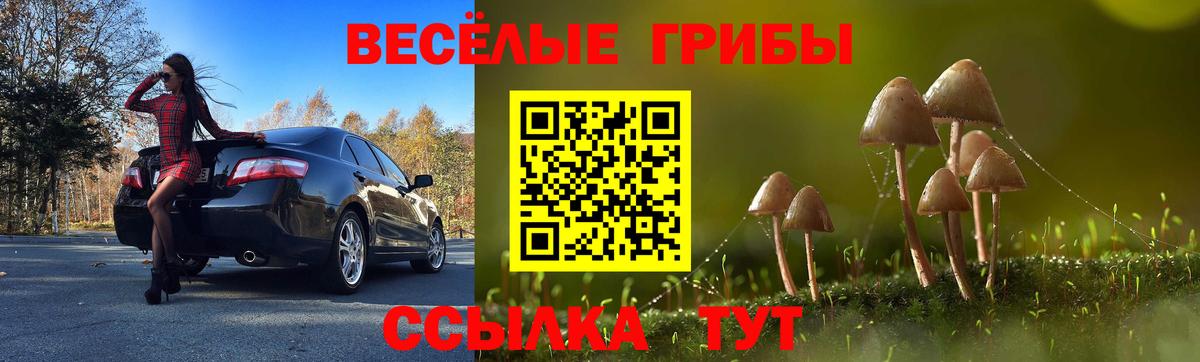Галлюциногенные грибы GOLDEN TEACHER Ульяновск
